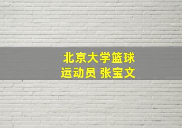 北京大学篮球运动员 张宝文